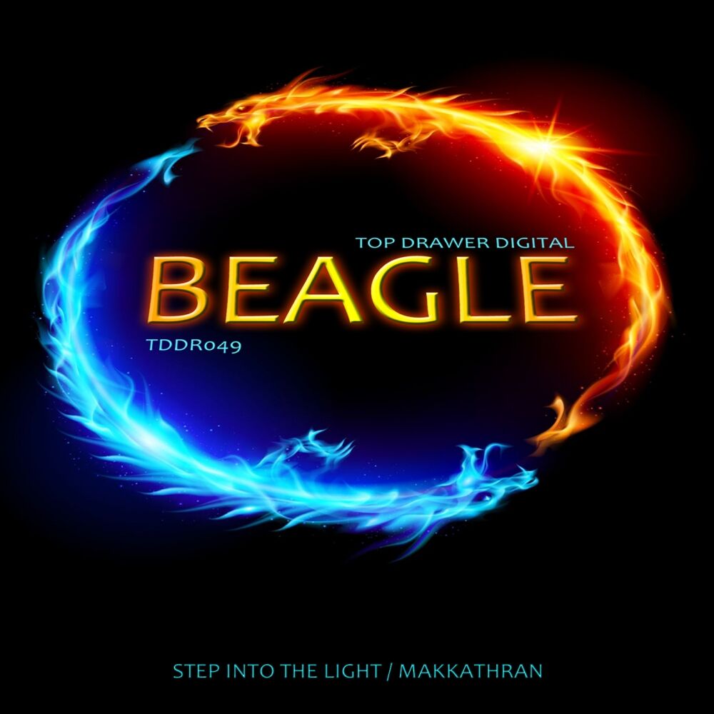 Picture of Step Into The Light / Makkathran