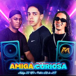 Cover of Amiga Curiosa