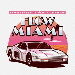 Cover of Flow Miami