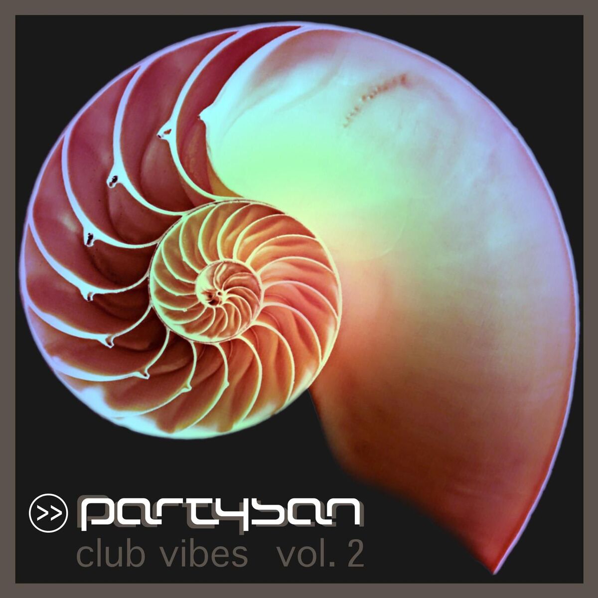 Album cover of Partysan Club Vibes, Vol. 2