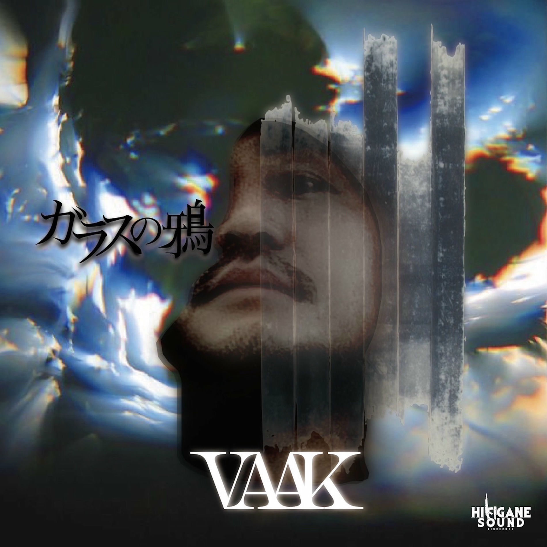 Album cover of Garasu No Karasu