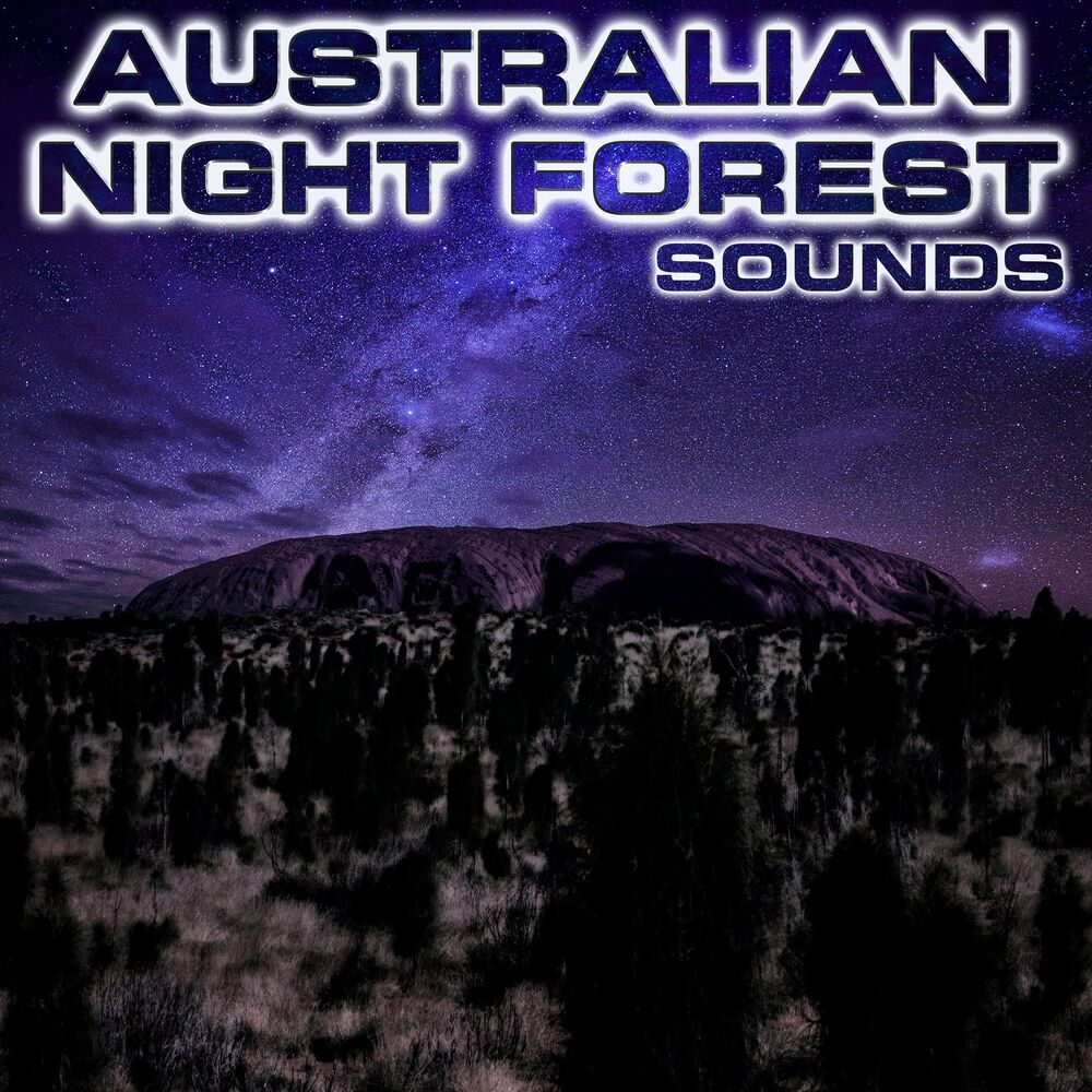 Picture of Australian Night Forest Sounds (feat. White Noise Sounds For Sleep, Relaxing Nature Sound, National Geographic Soundscapes, White 