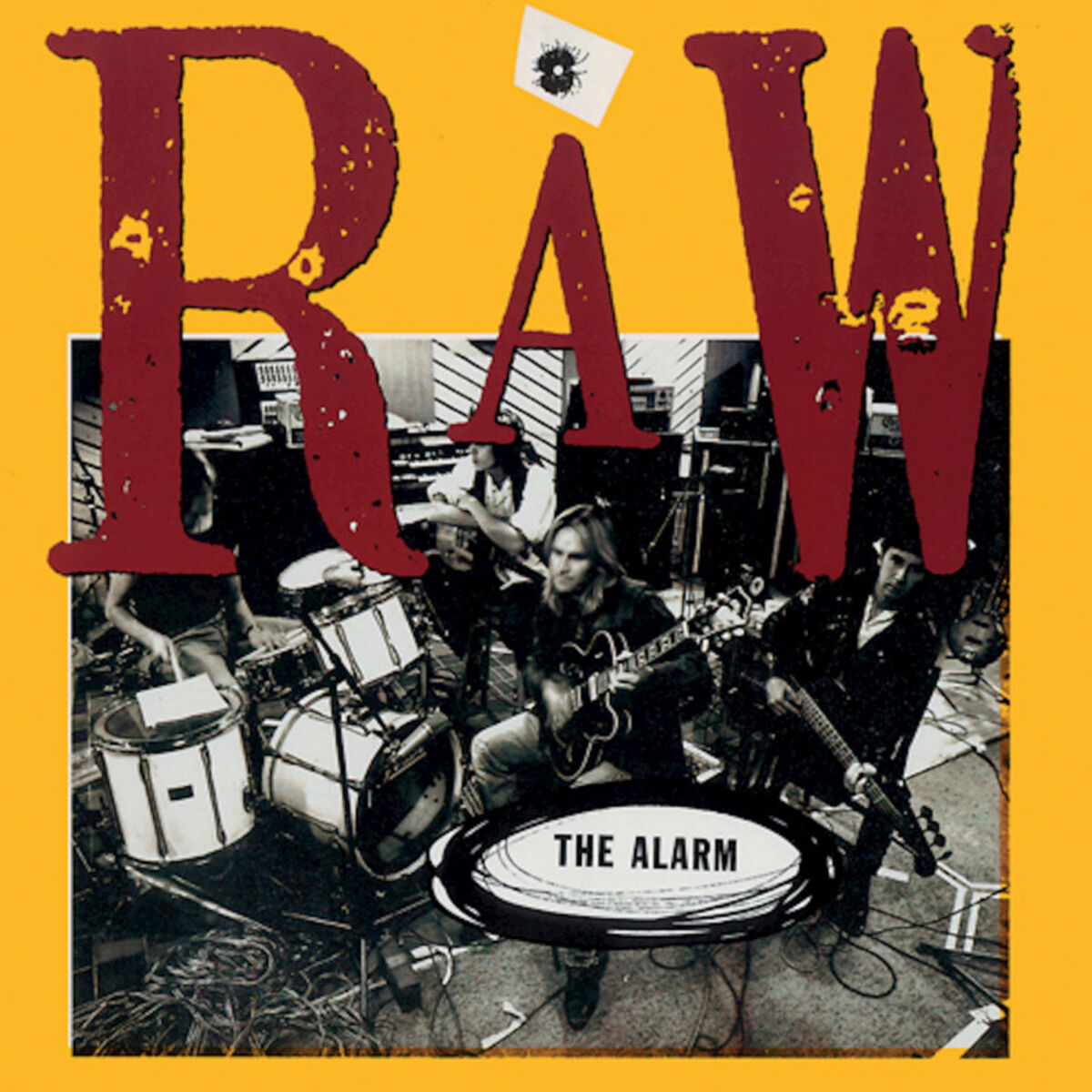 Album cover of Raw (1990 -1991 Remastered)