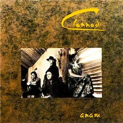Cover of Anam (2003 Remaster)