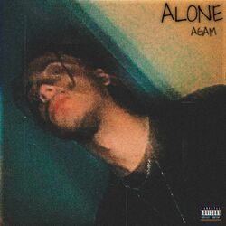 Cover of Alone