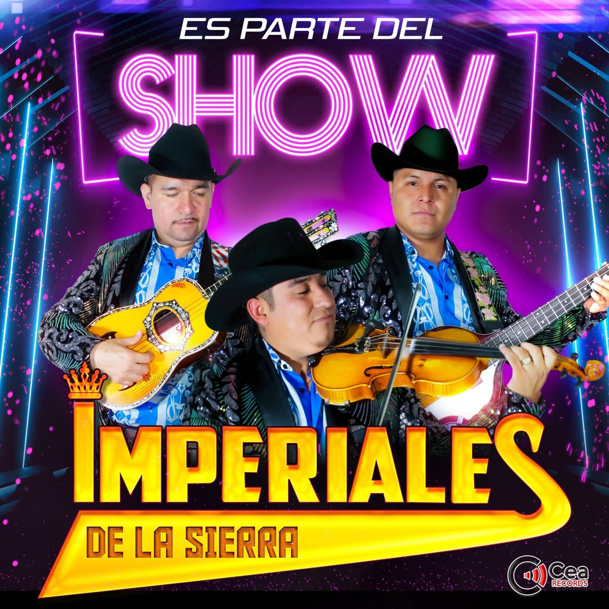 Album cover of Voy a Danzar