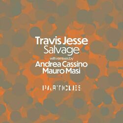 Cover of Salvage