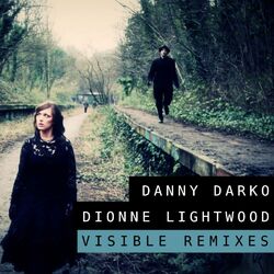 Cover of Visible Remixes (Full Release)