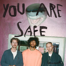 Cover of You Are Safe