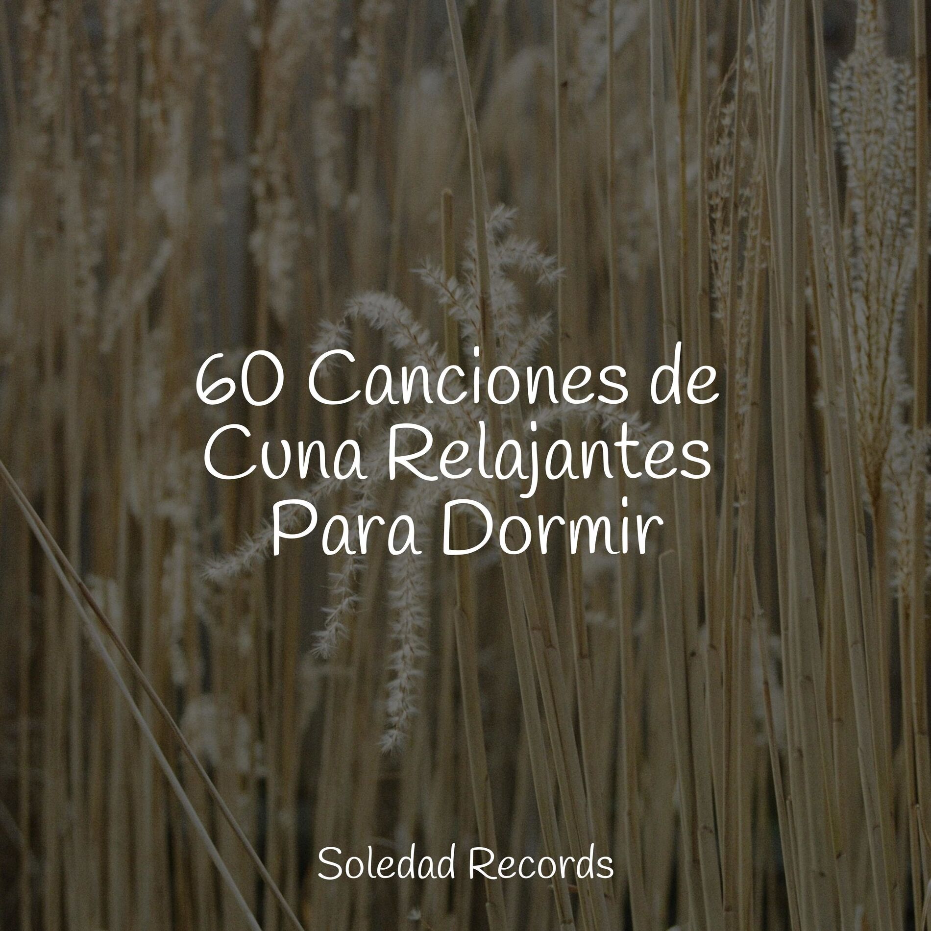 Album cover of 60 Canciones de Cuna Relajantes Para Dormir
