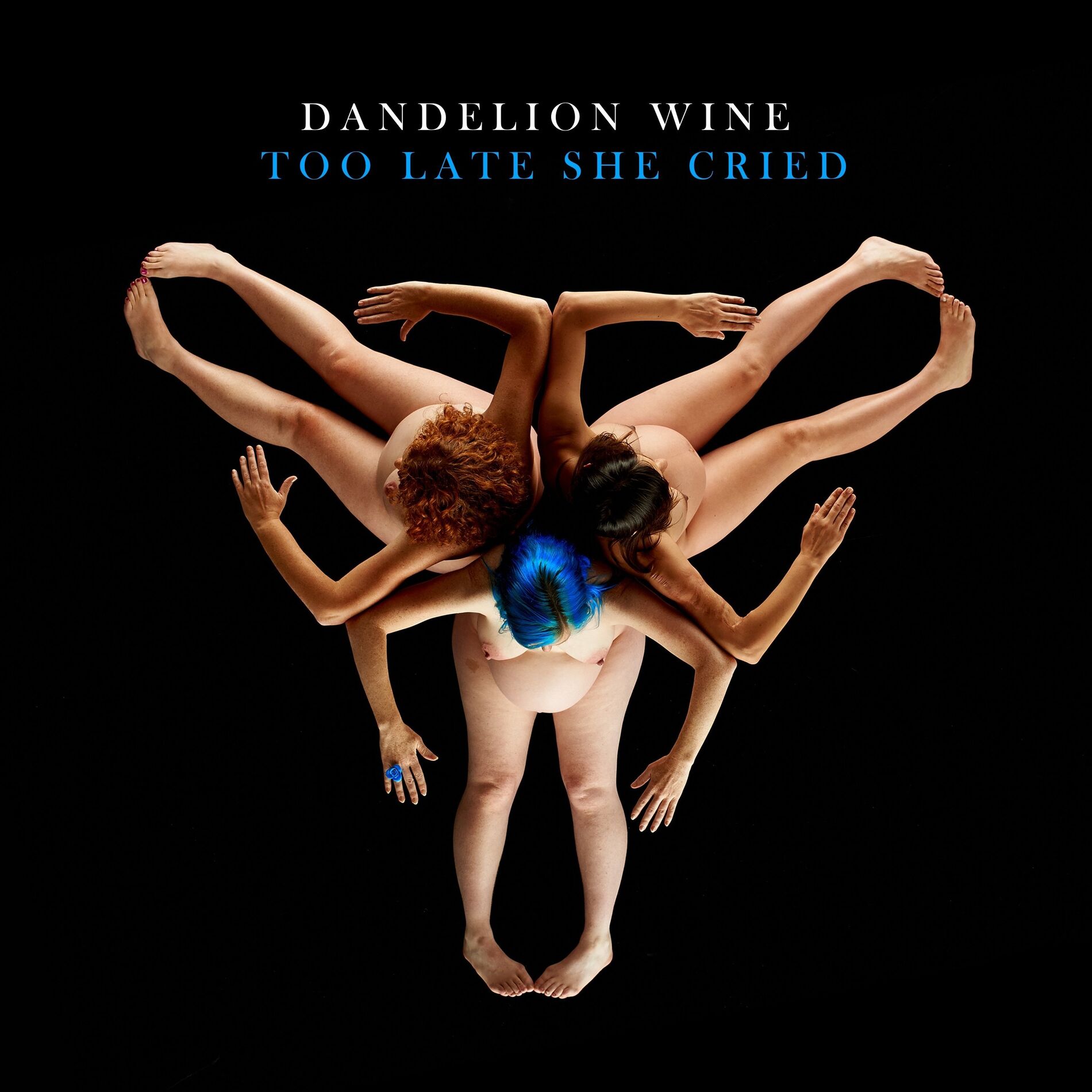 Album cover of Too Late She Cried