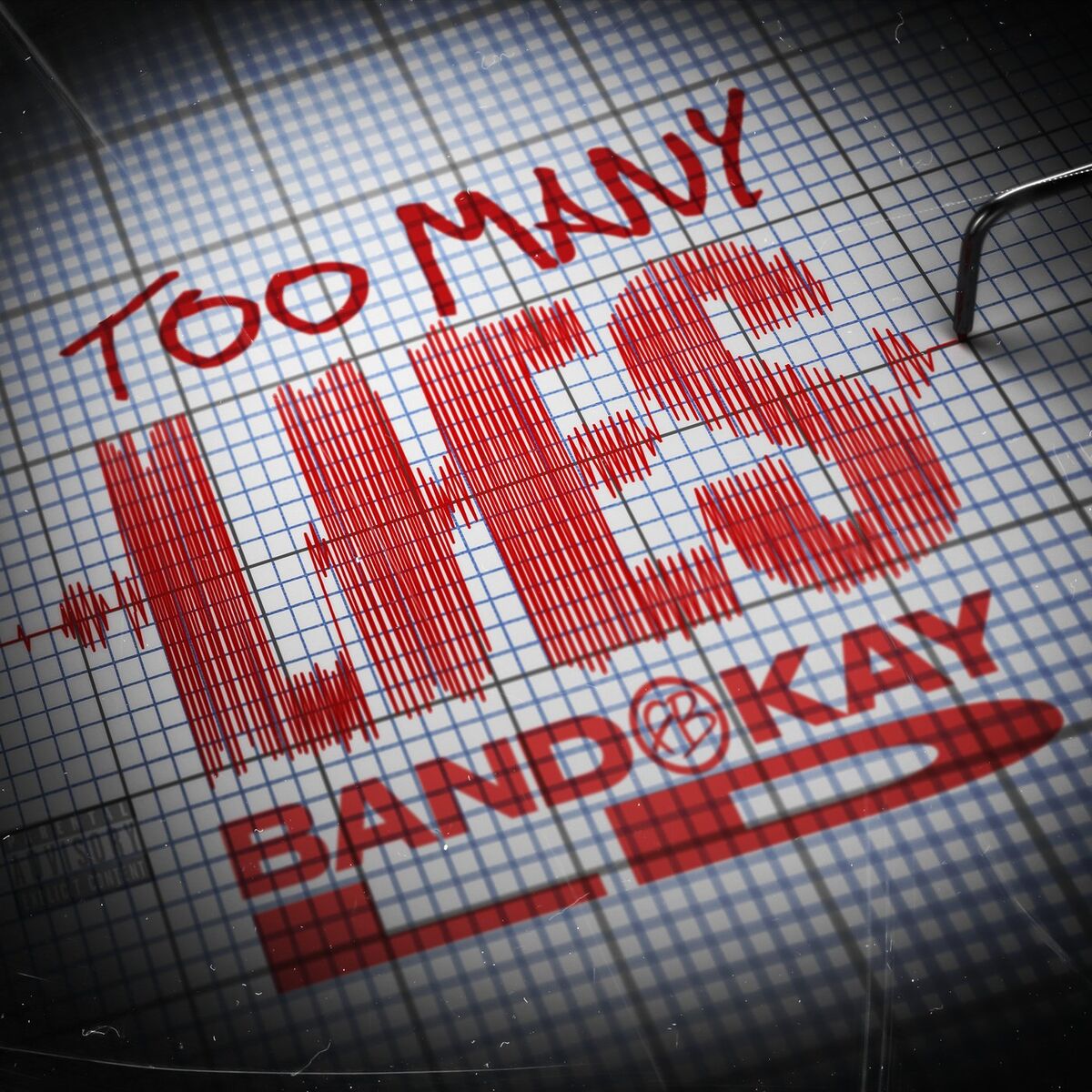 Album cover of Too Many Lies
