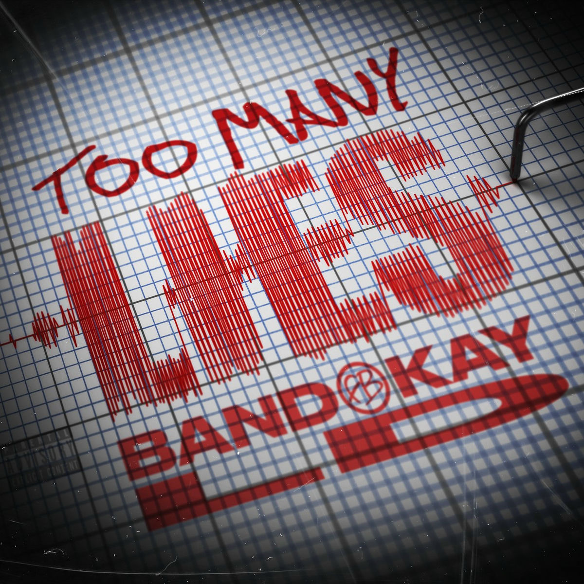 Album cover of Too Many Lies