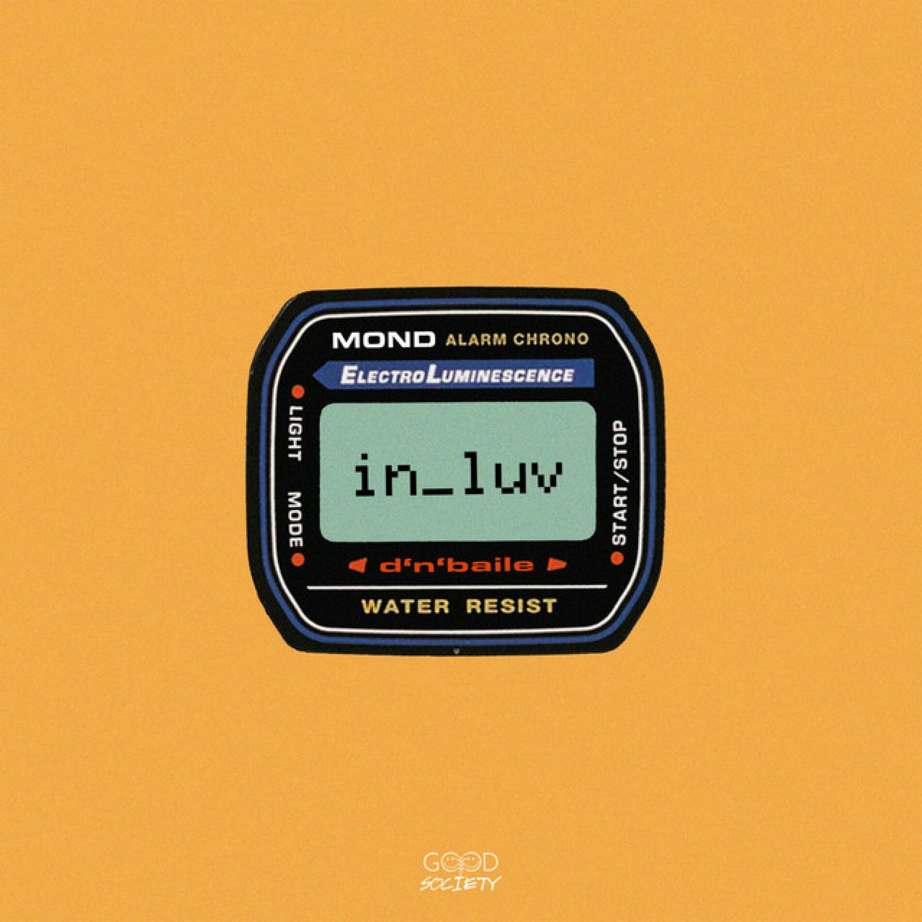 Album cover of in luv