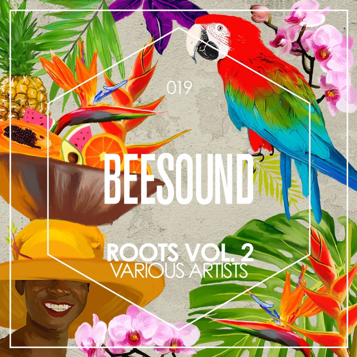 Album cover of ROOTS Vol. 2