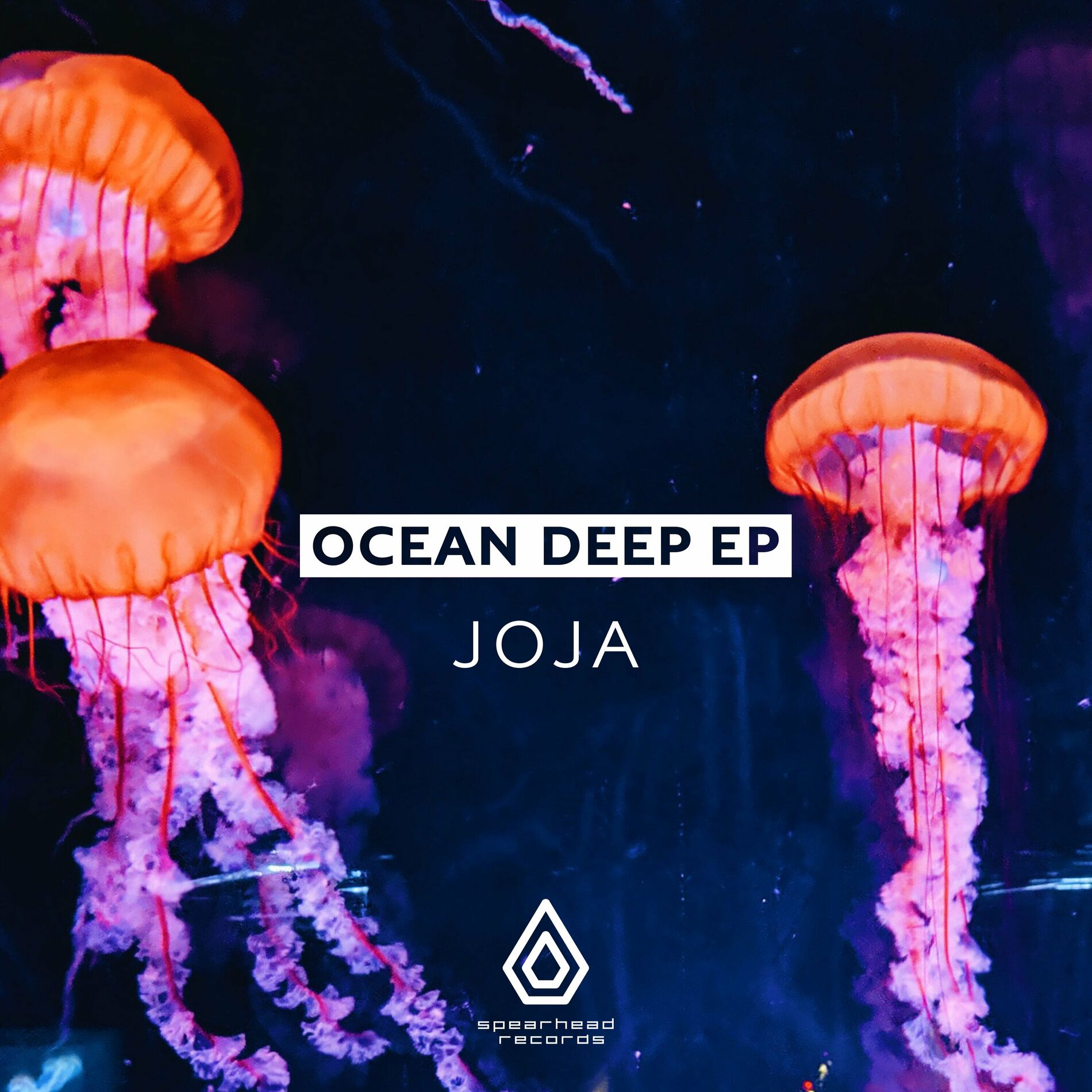 Album cover of Loop Me