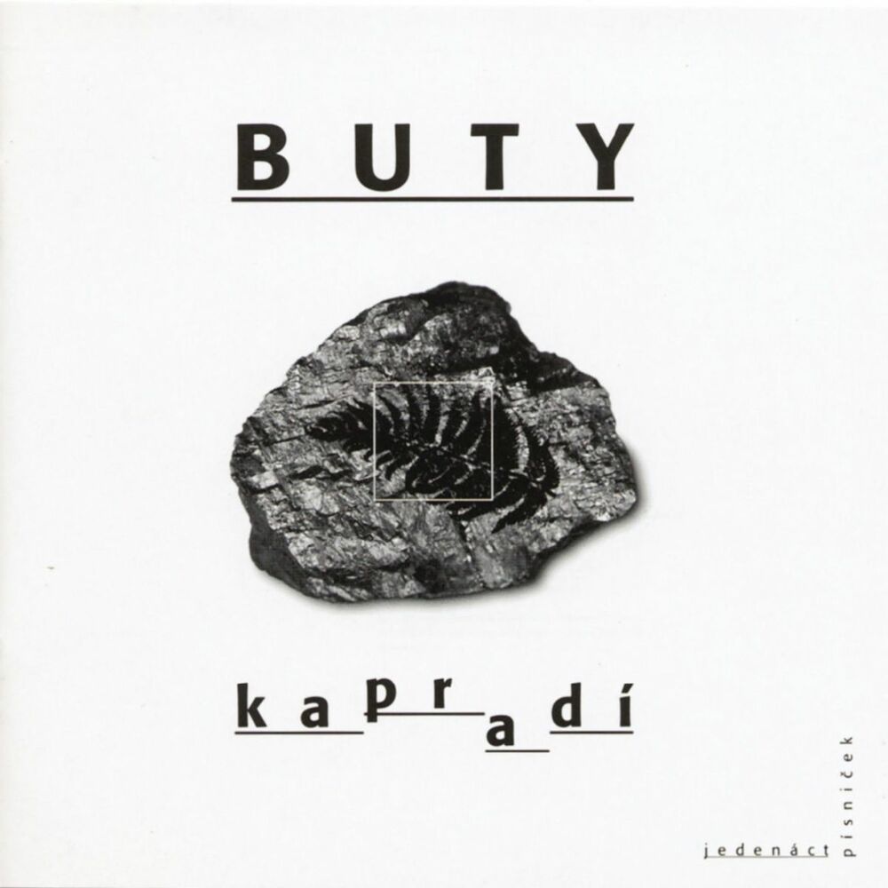 Picture of Kapradi
