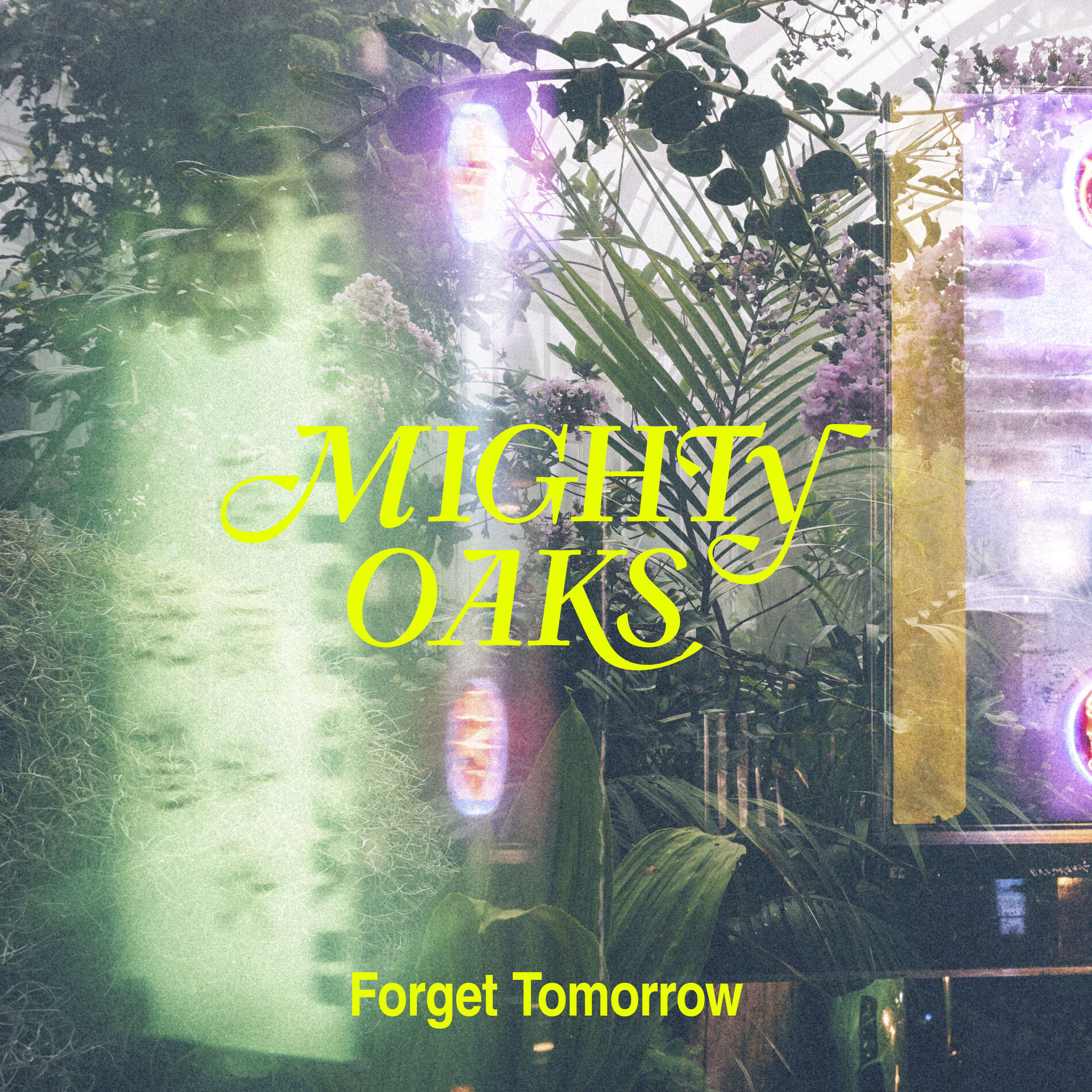 Album cover of Forget Tomorrow