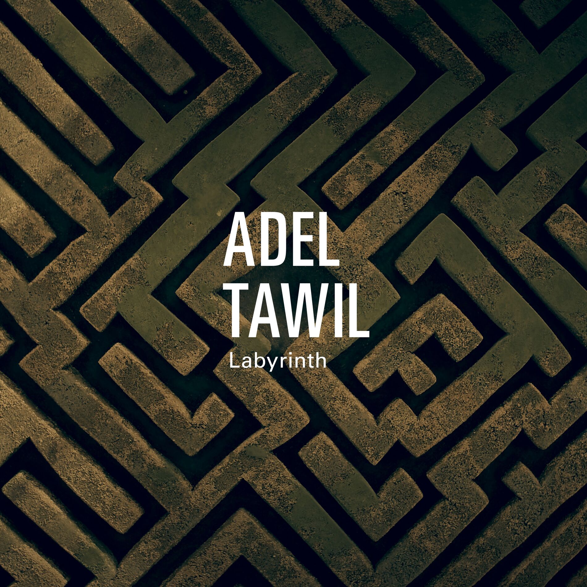 Album cover of Labyrinth