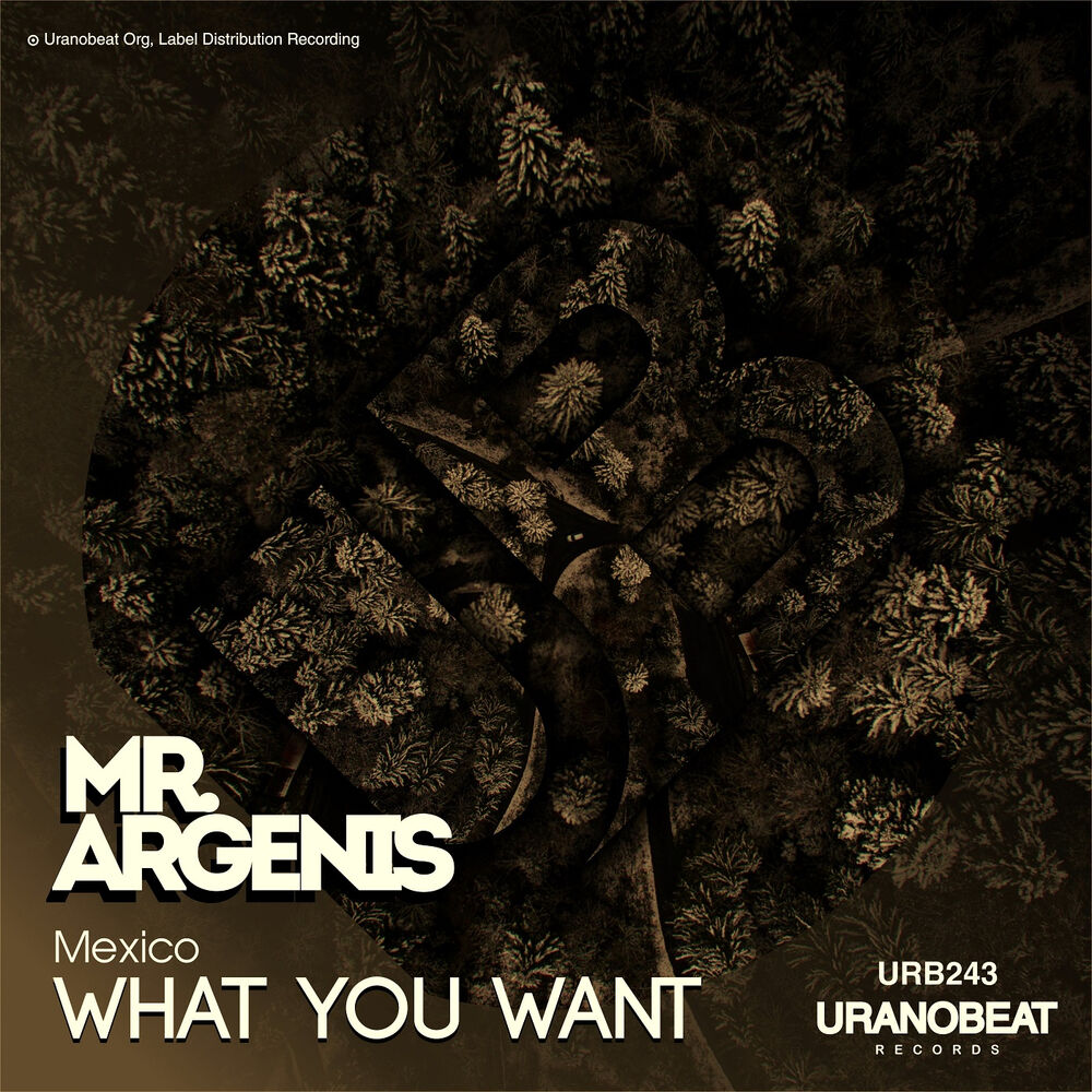 Picture of What You Want