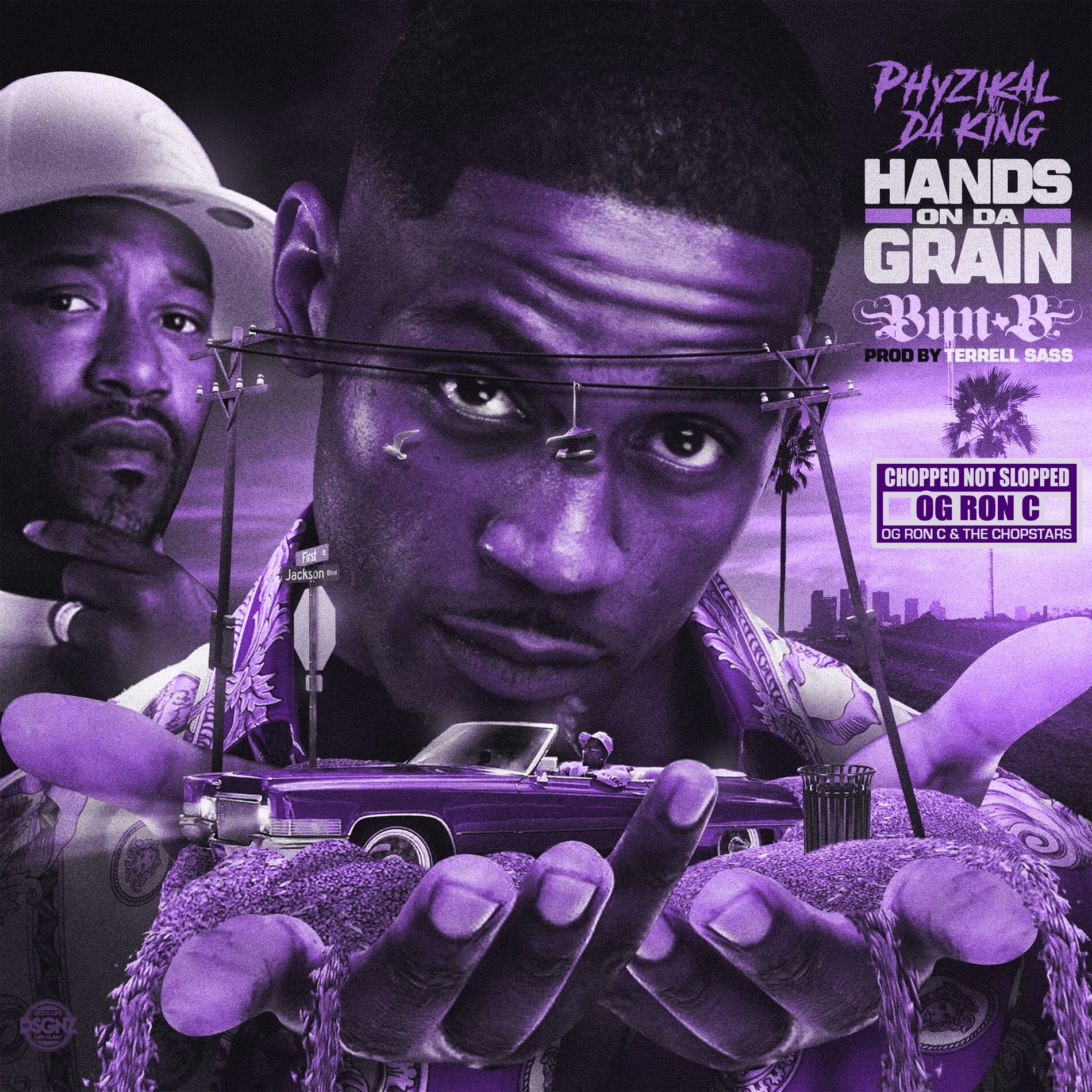 Album cover of Hands on Da Grain (Chopped Not Slopped)