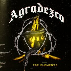 Cover of Agradezco