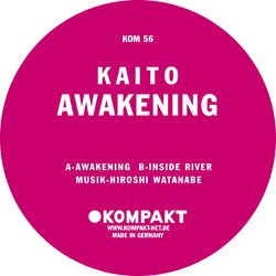 Cover of Awakening