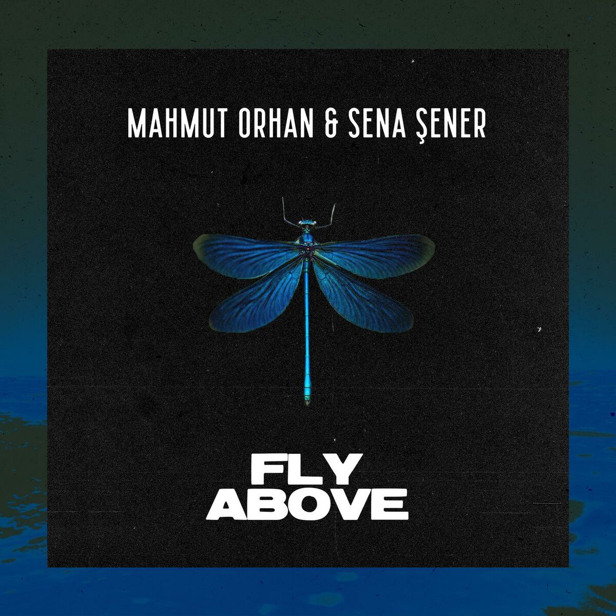 Album cover of Fly Above