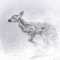 Cover of My First Snow