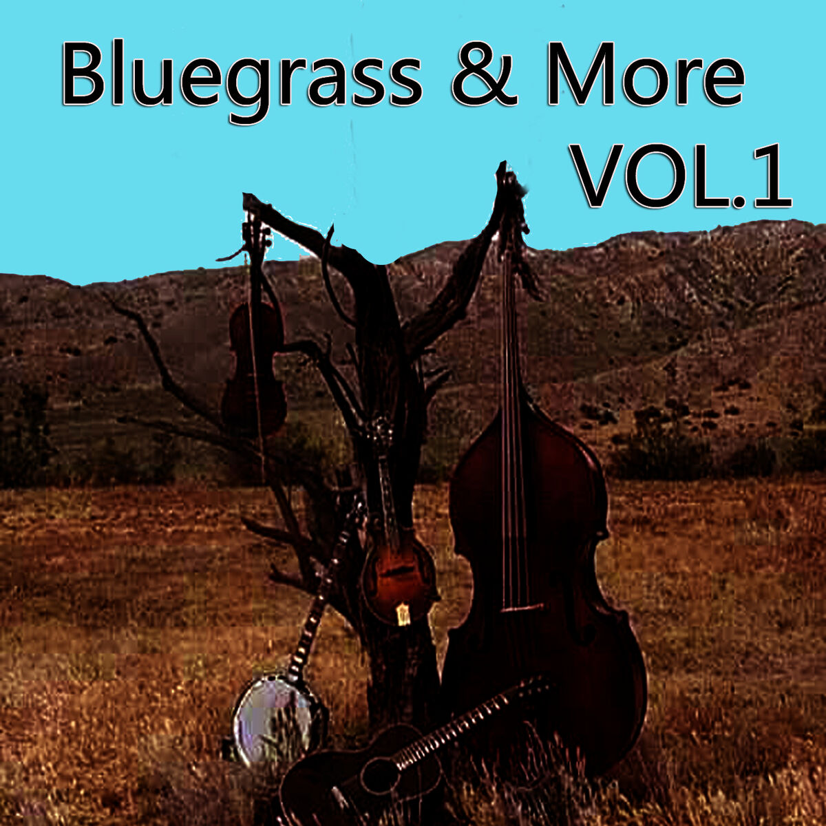 Album cover of Bluegrass & More, Vol. 1