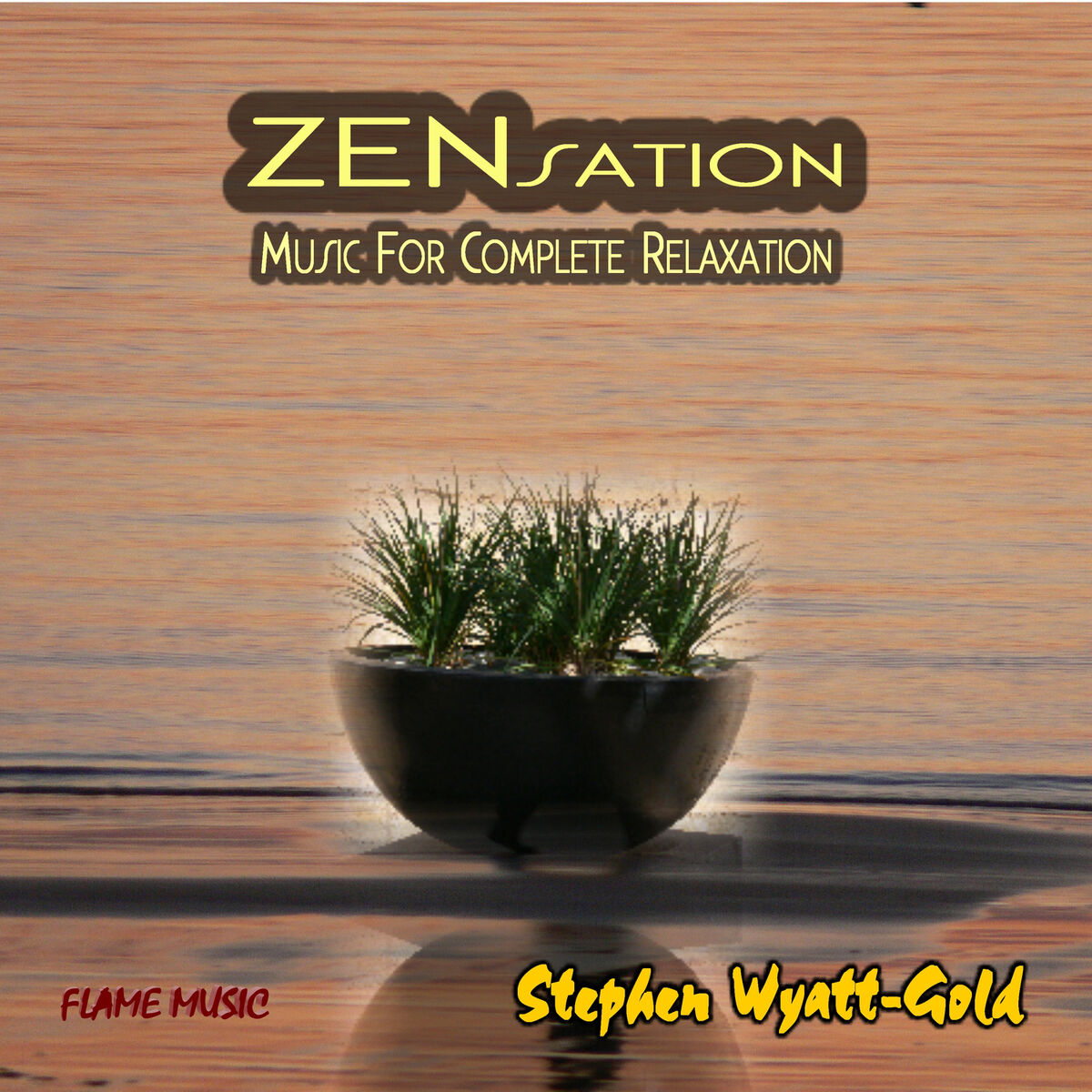 Album cover of Zensation