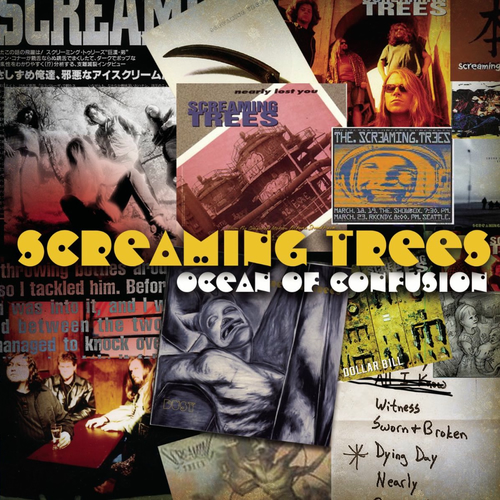 Screaming Trees CD まとめ売り 615ojK7flPL._UF1000,1000_QL80_.jpg
