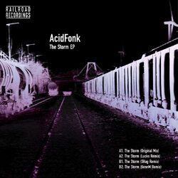 Cover of The Storm EP