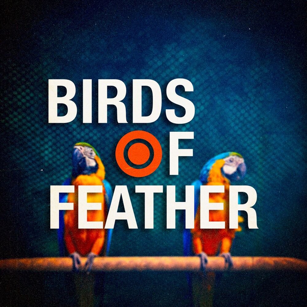 Picture of BIRDS OF A FEATHER (Funk Version)