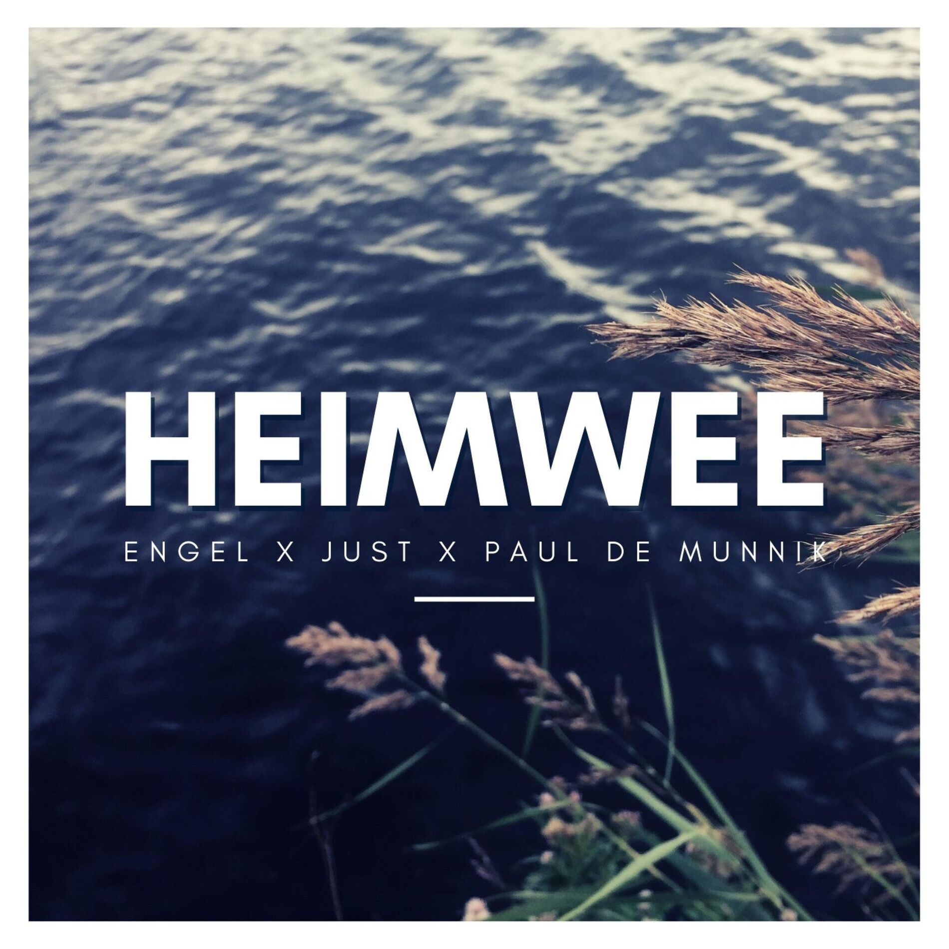 Album cover of Heimwee (feat. Just & Paul de Munnik)