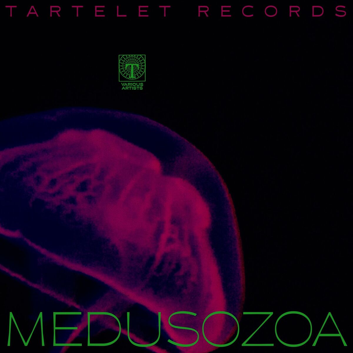 Album cover of Medusozoa