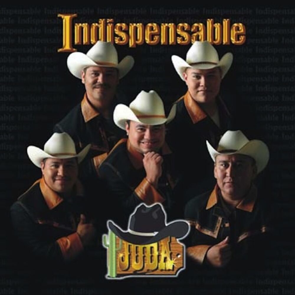 Picture of Indispensable