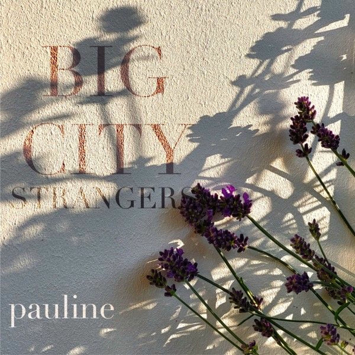 Album cover of Big City (Strangers)