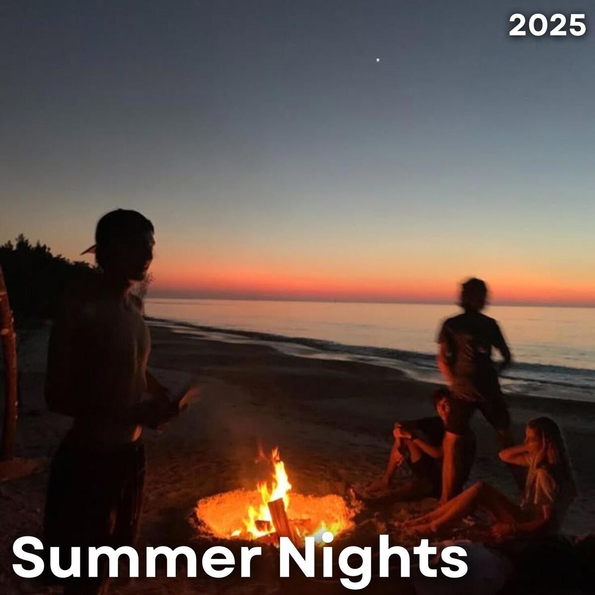 Album cover of Summer Nights 2025