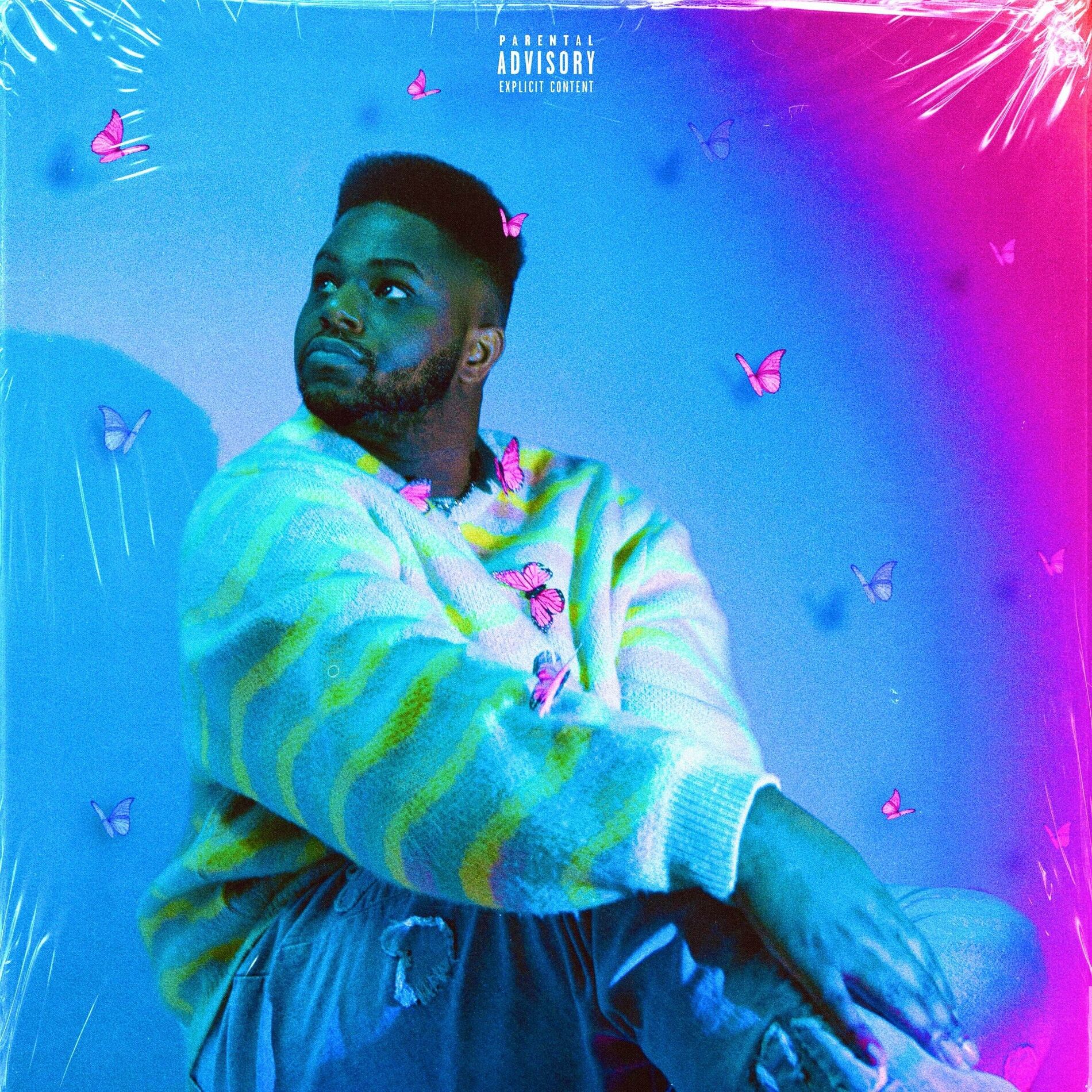 Album cover of butterfly love