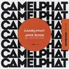 CAMELPHAT/VOMEE - Needed You