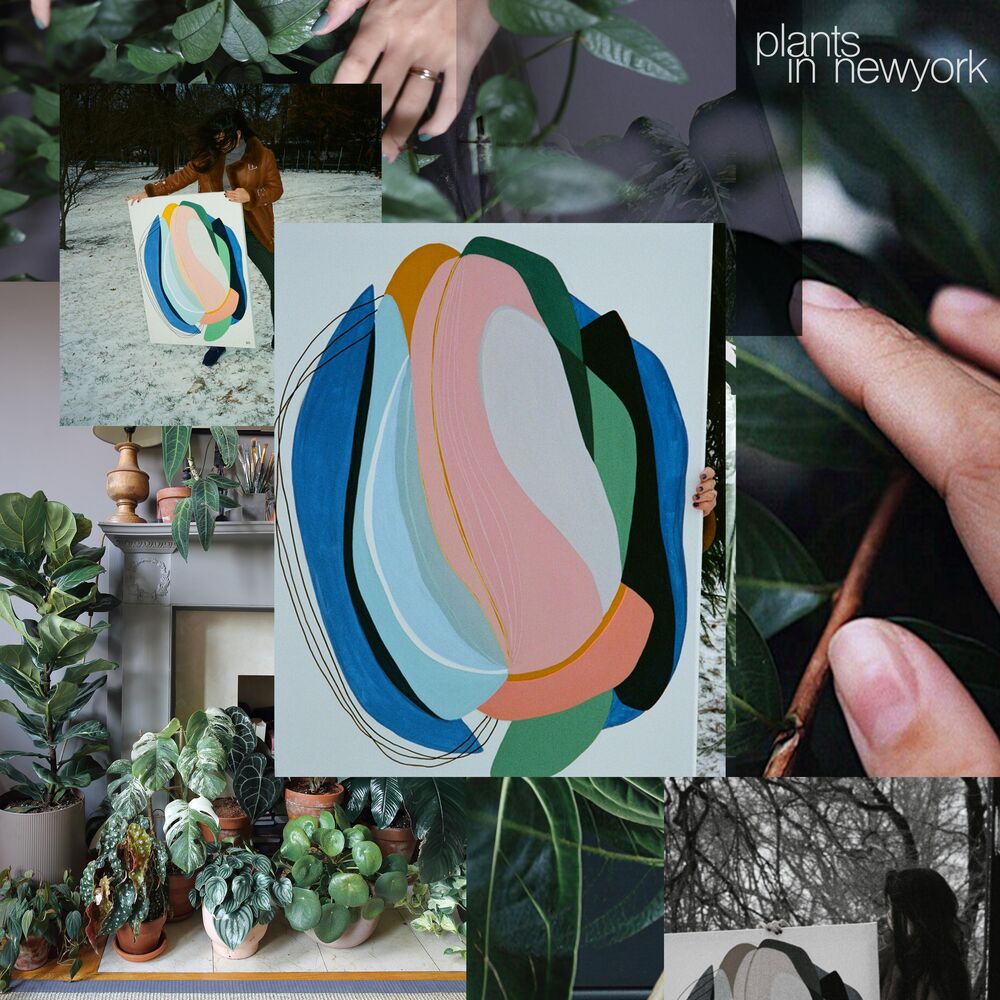 Picture of plants in new york