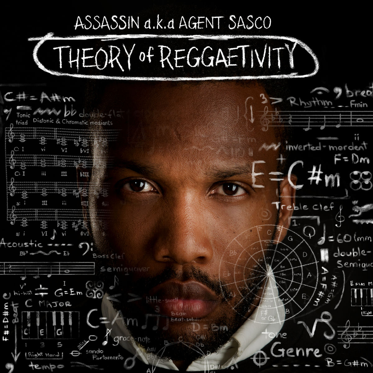 Album cover of Theory of Reggaetivity
