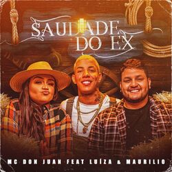 Cover of Saudade do Ex