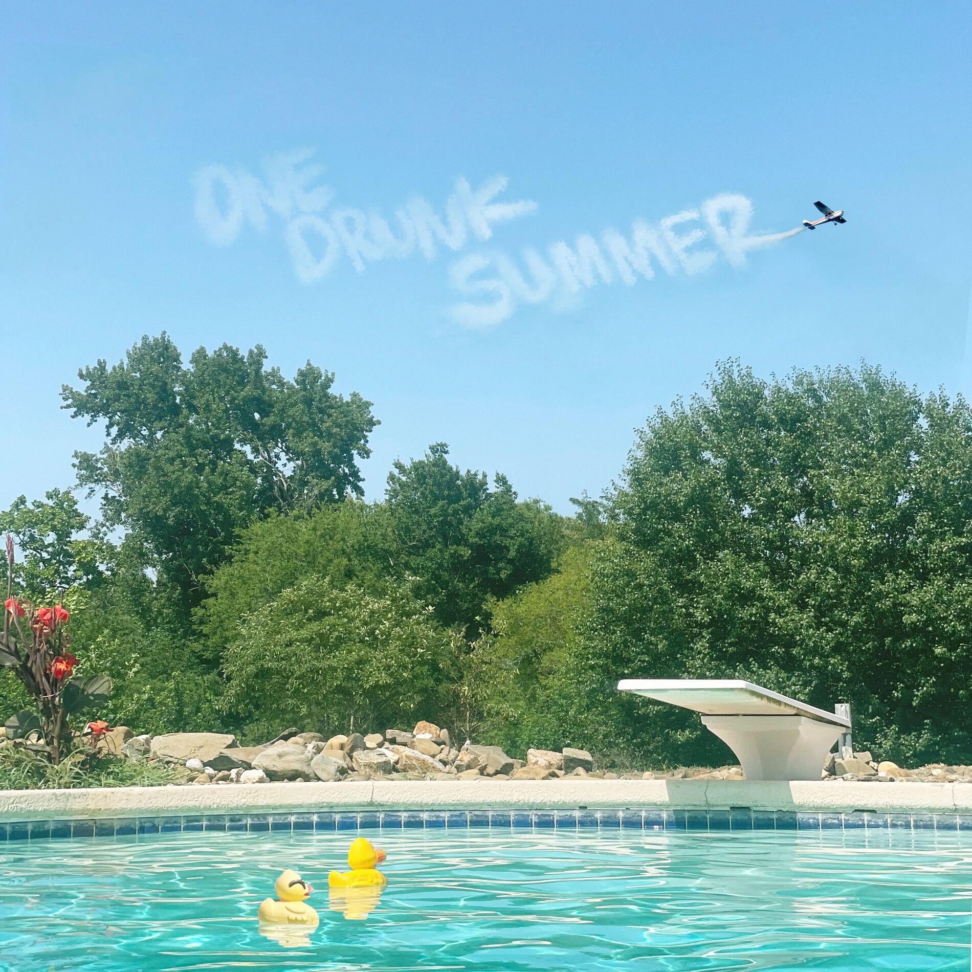 Album cover of One Drunk Summer