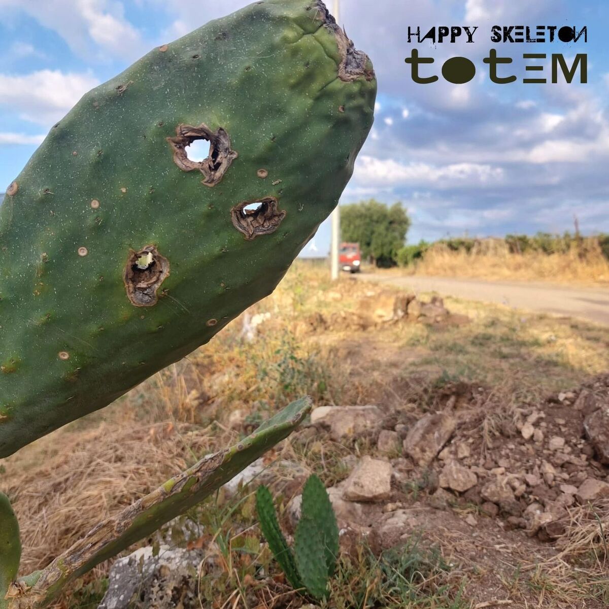 Album cover of Totem