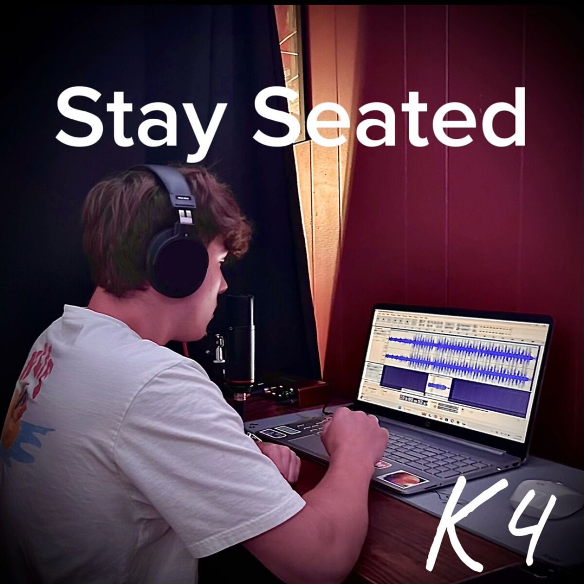 Album cover of Stay Seated