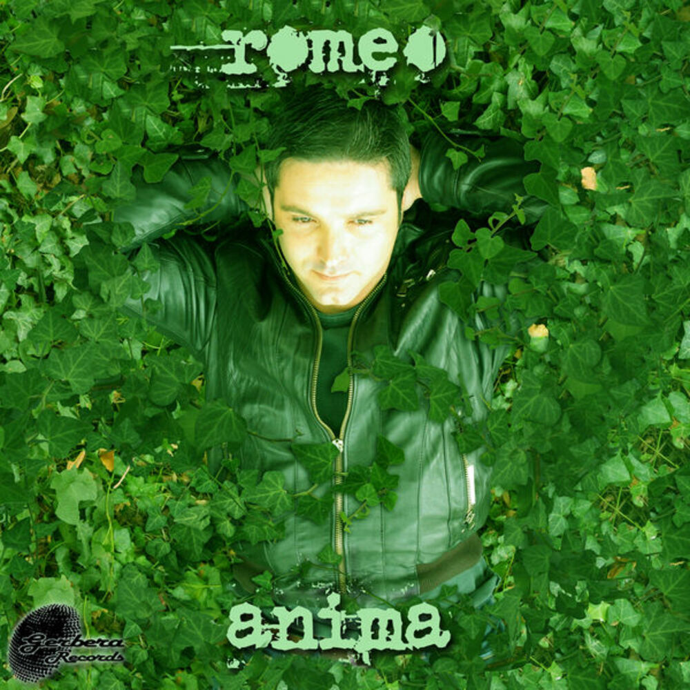Picture of Anima