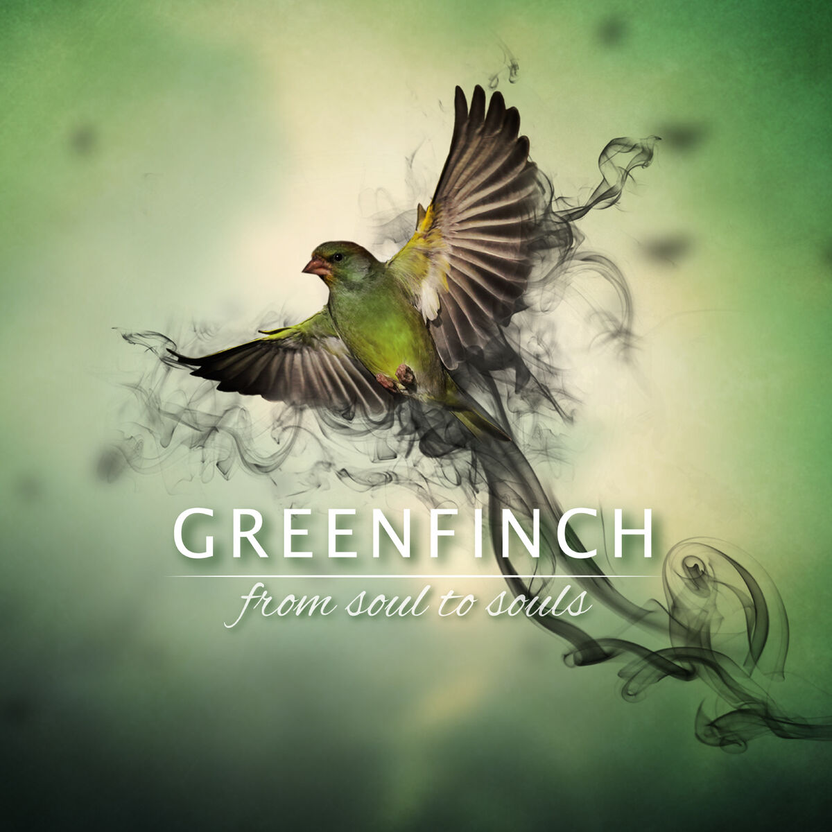 Album cover of From Soul To Souls