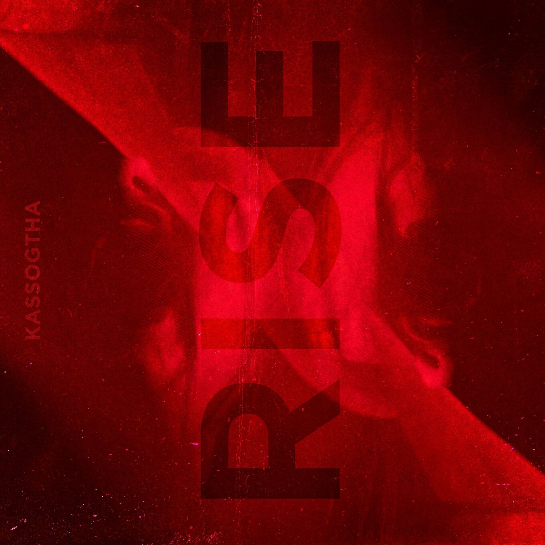 Album cover of RISE